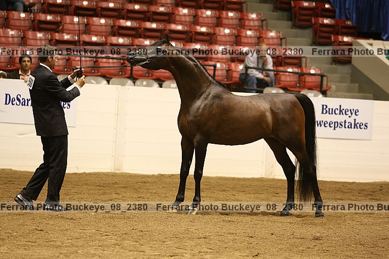 Proof buckeye_08_2380