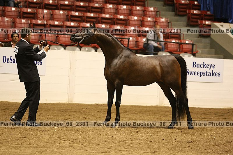 Proof buckeye_08_2381