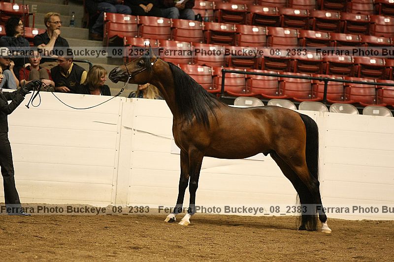 Proof buckeye_08_2383