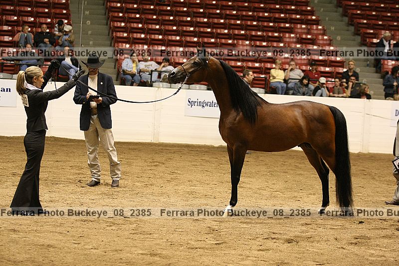 Proof buckeye_08_2385