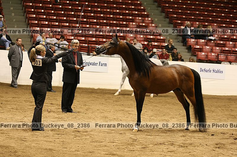 Proof buckeye_08_2386