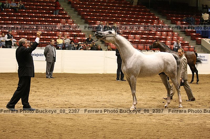 Proof buckeye_08_2387