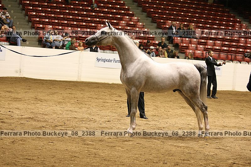 Proof buckeye_08_2388