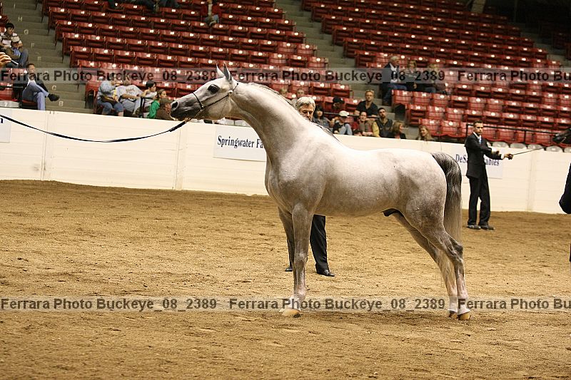 Proof buckeye_08_2389