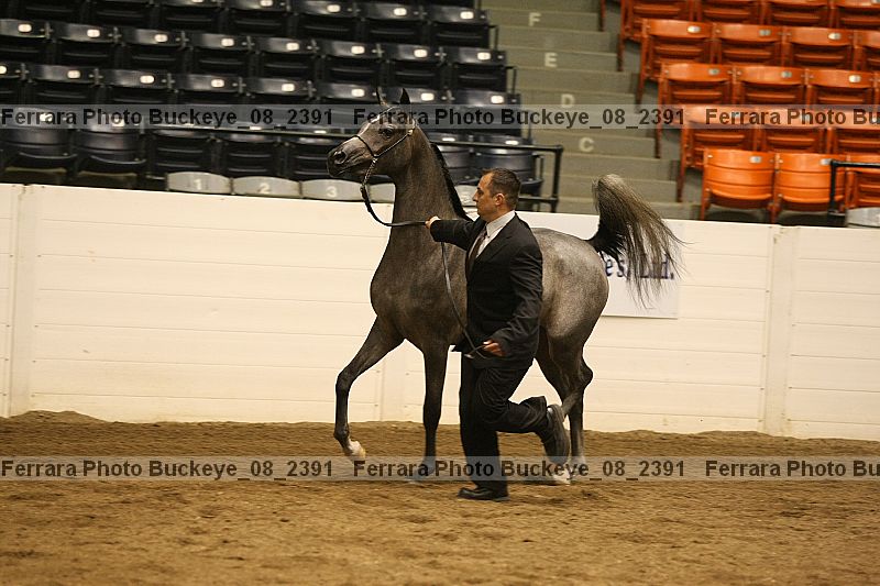 Proof buckeye_08_2391