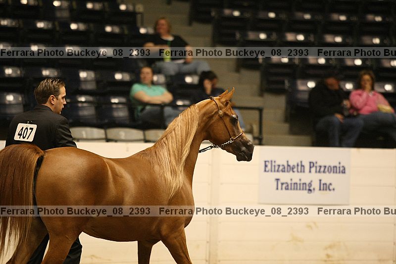 Proof buckeye_08_2393