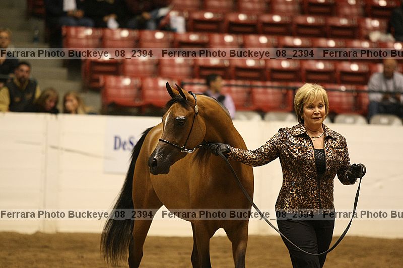 Proof buckeye_08_2394