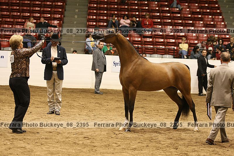 Proof buckeye_08_2395