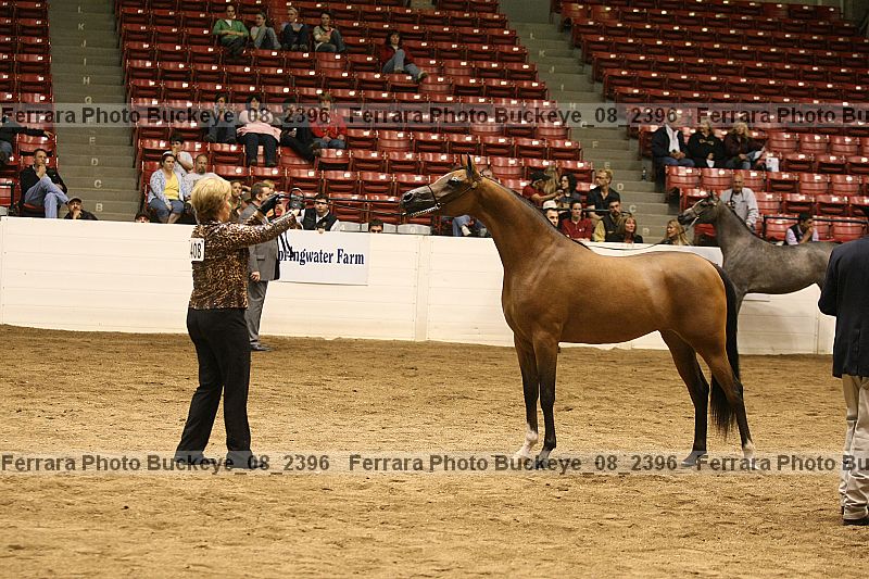 Proof buckeye_08_2396