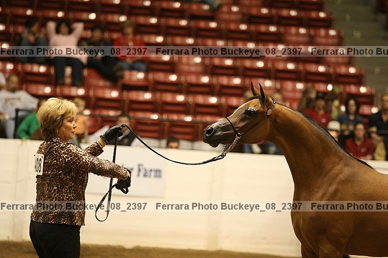 Proof buckeye_08_2397