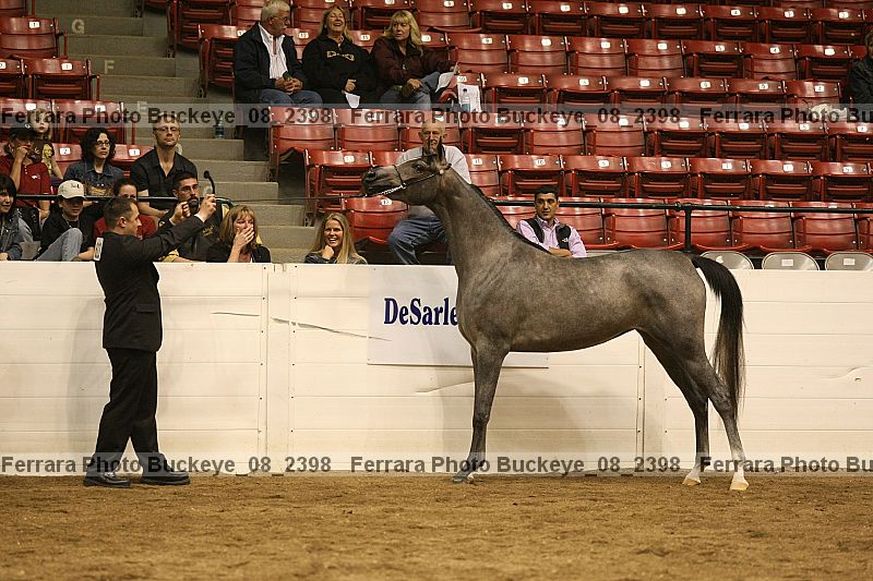 Proof buckeye_08_2398
