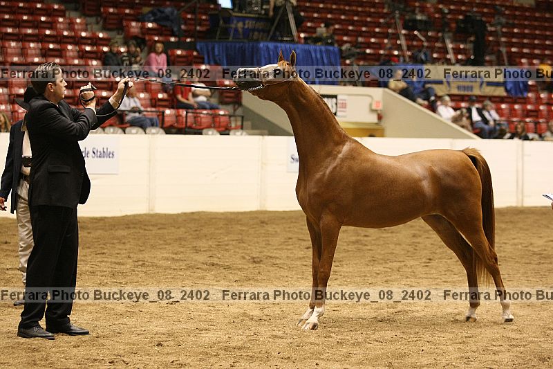 Proof buckeye_08_2402