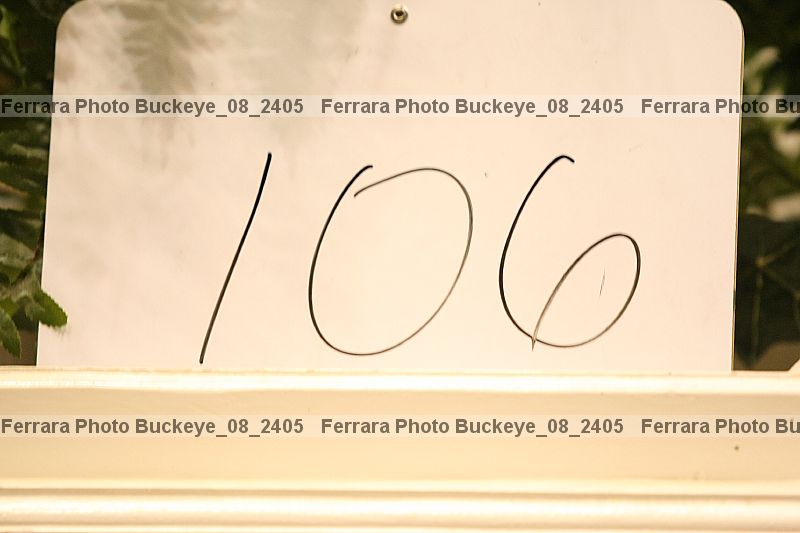 Proof buckeye_08_2405