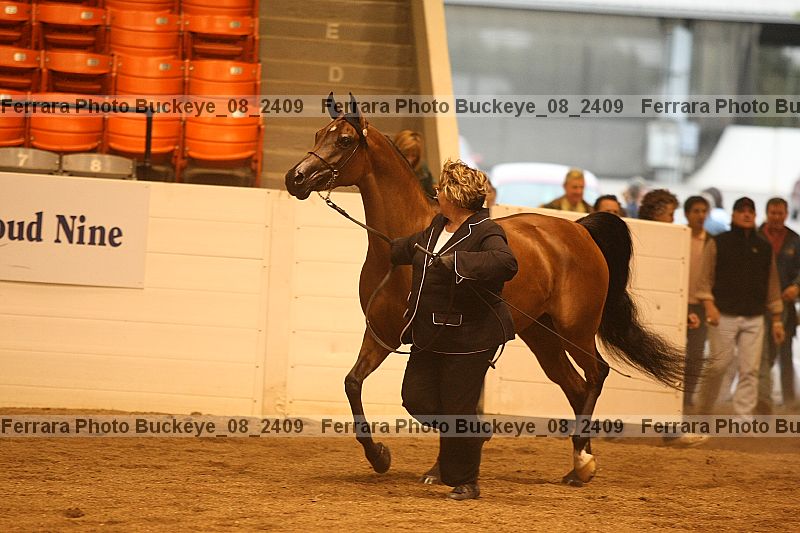 Proof buckeye_08_2409