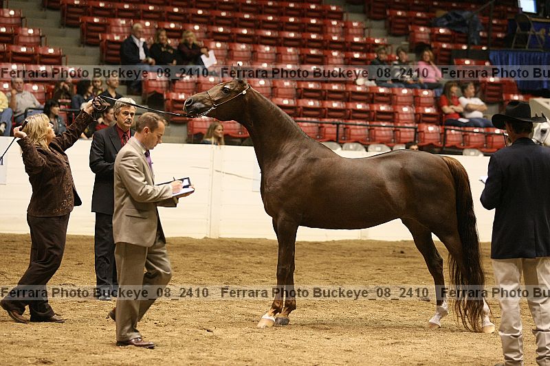 Proof buckeye_08_2410