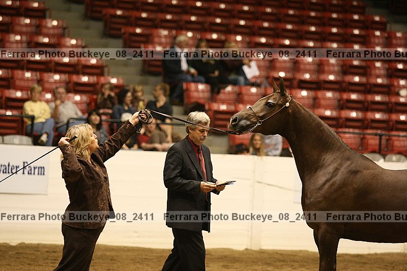 Proof buckeye_08_2411