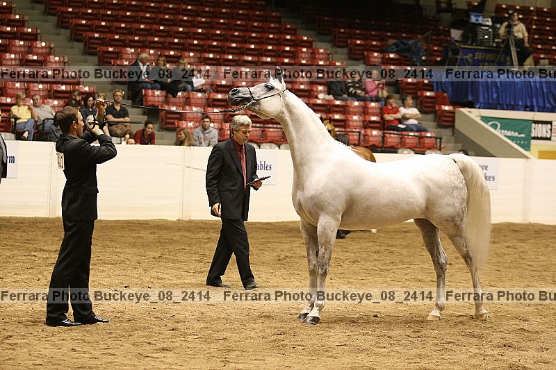 Proof buckeye_08_2414