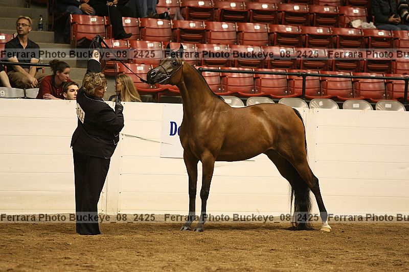 Proof buckeye_08_2425