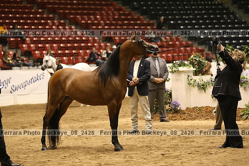 Proof buckeye_08_2426