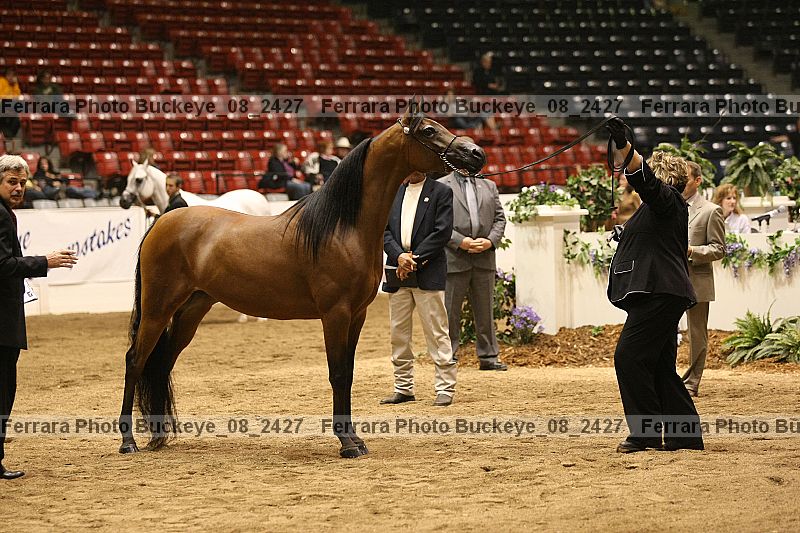 Proof buckeye_08_2427