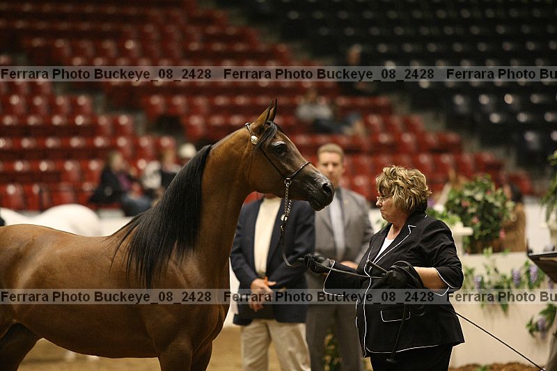 Proof buckeye_08_2428