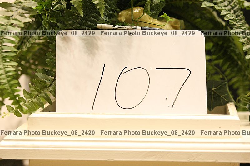 Proof buckeye_08_2429