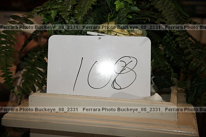 Proof buckeye_08_2331
