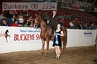 buckeye_08_2334 proof