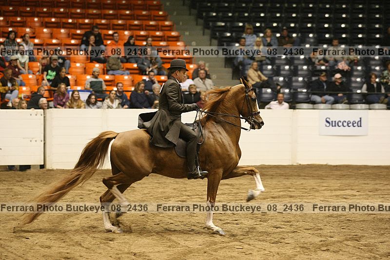 Proof buckeye_08_2436