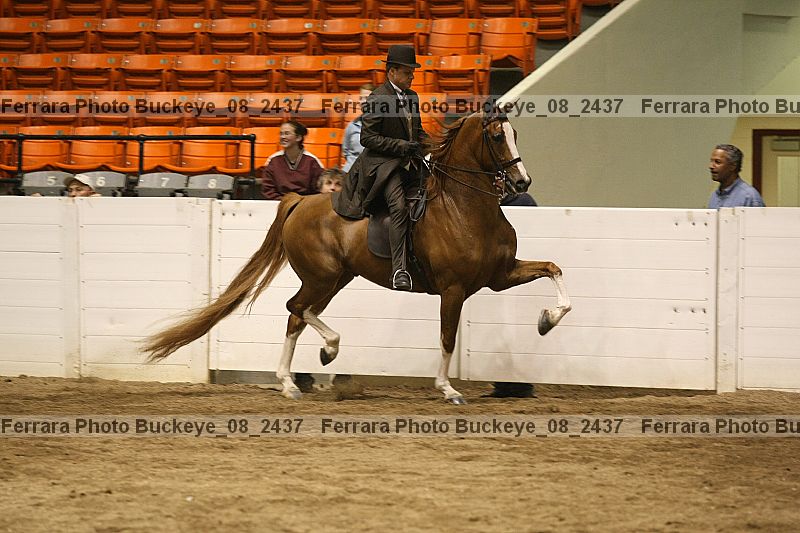 Proof buckeye_08_2437