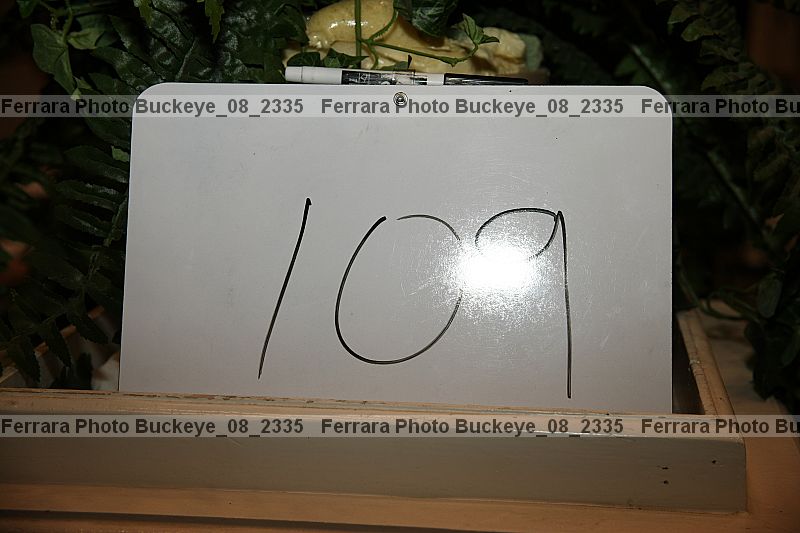 Proof buckeye_08_2335