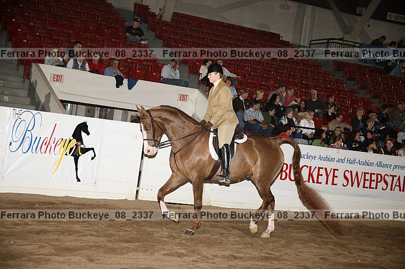 Proof buckeye_08_2337