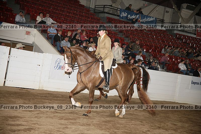 Proof buckeye_08_2340