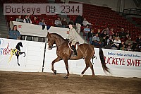 buckeye_08_2344 proof