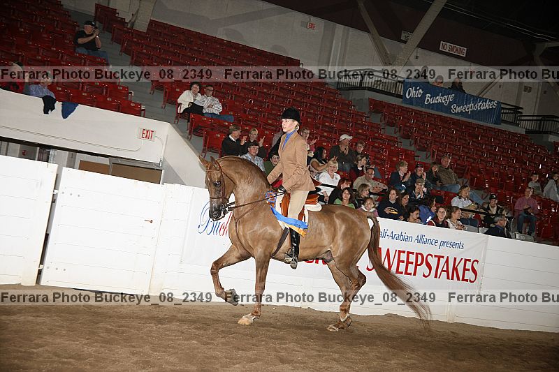 Proof buckeye_08_2349