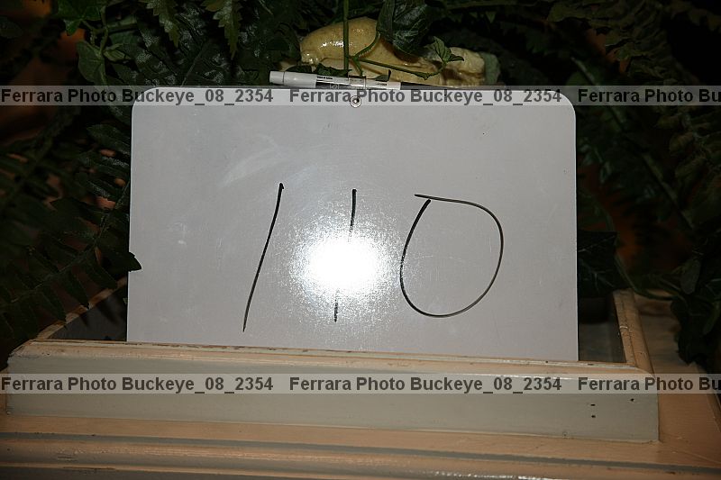 Proof buckeye_08_2354