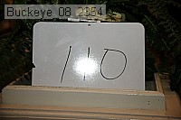 buckeye_08_2354 proof