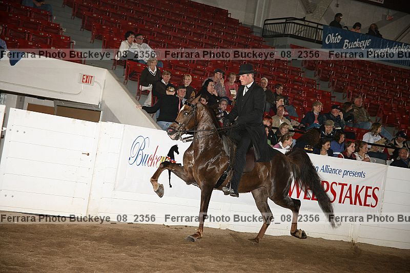 Proof buckeye_08_2356