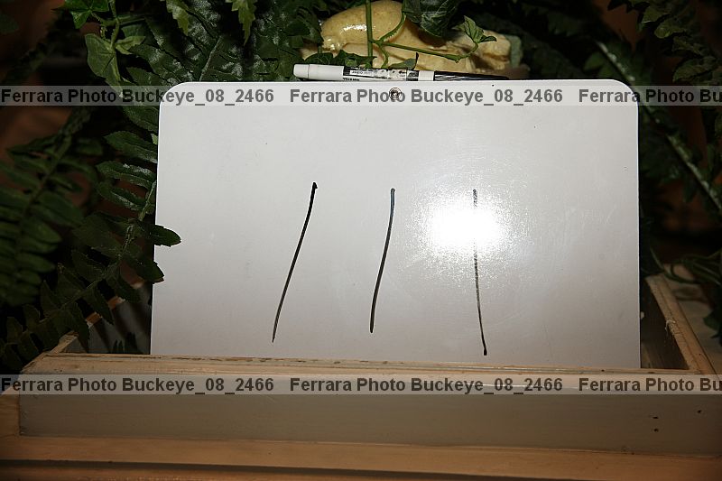 Proof buckeye_08_2466
