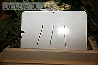 buckeye_08_2466 proof