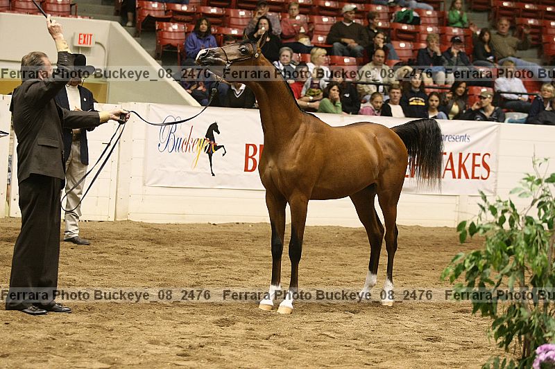 Proof buckeye_08_2476