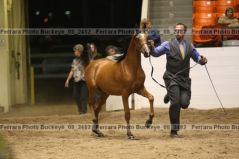 Proof buckeye_08_2482