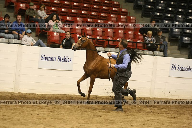 Proof buckeye_08_2484