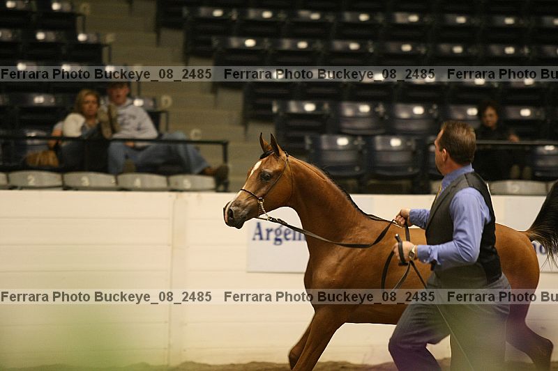 Proof buckeye_08_2485
