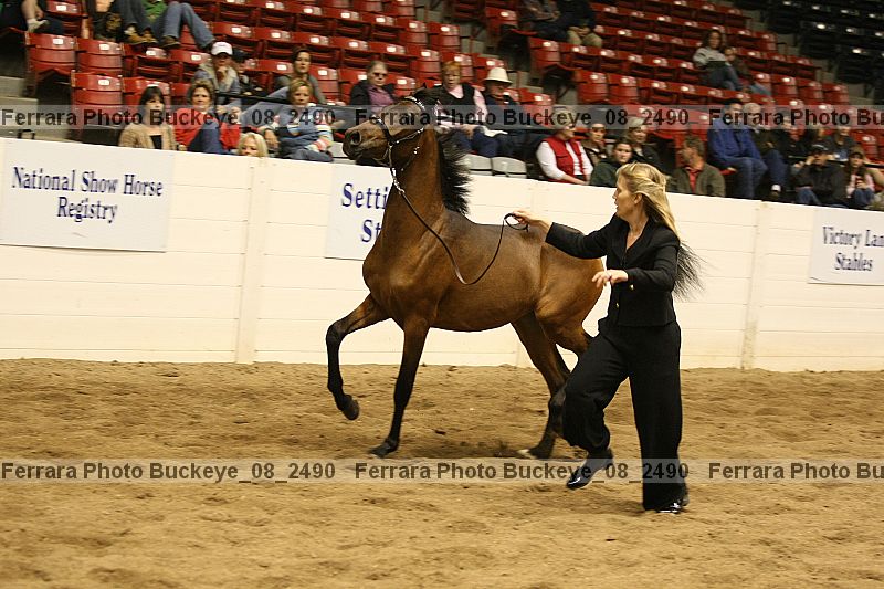 Proof buckeye_08_2490