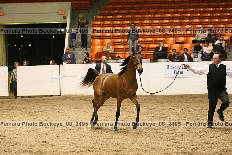 Proof buckeye_08_2495
