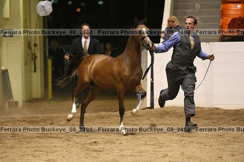 Proof buckeye_08_2498