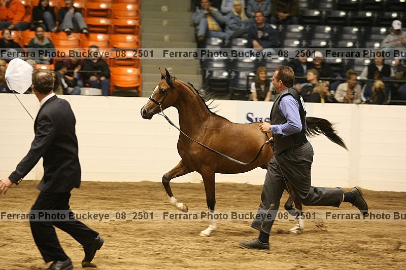 Proof buckeye_08_2501