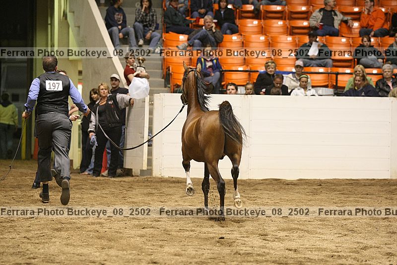 Proof buckeye_08_2502