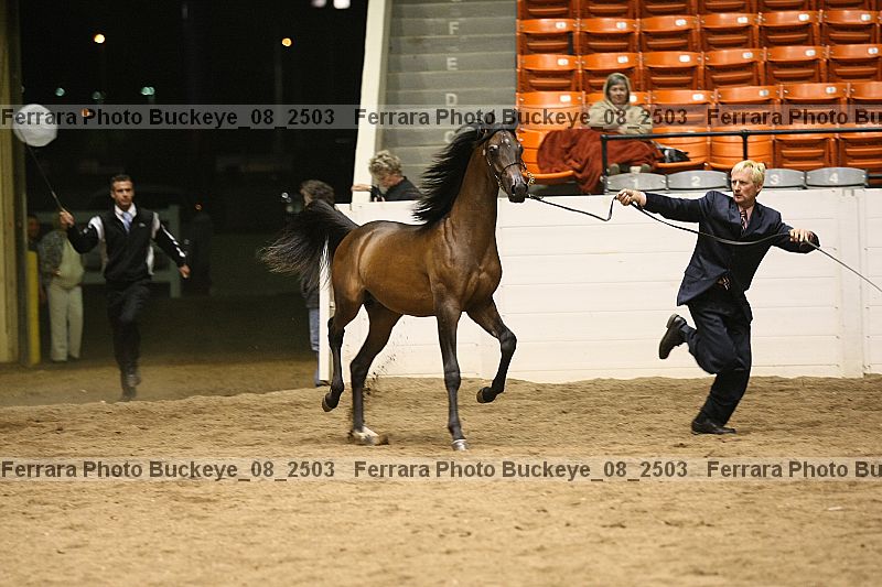 Proof buckeye_08_2503